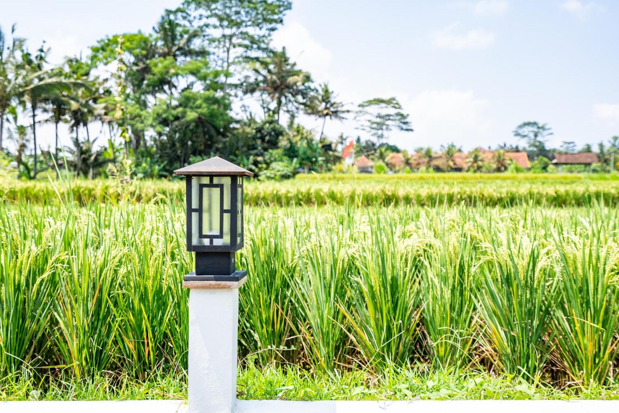 Aura Apartment Ubud